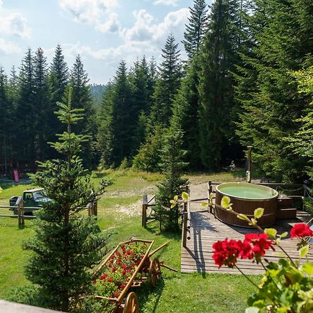 Lesna Bacowka Villa Nowy Targ Exterior photo