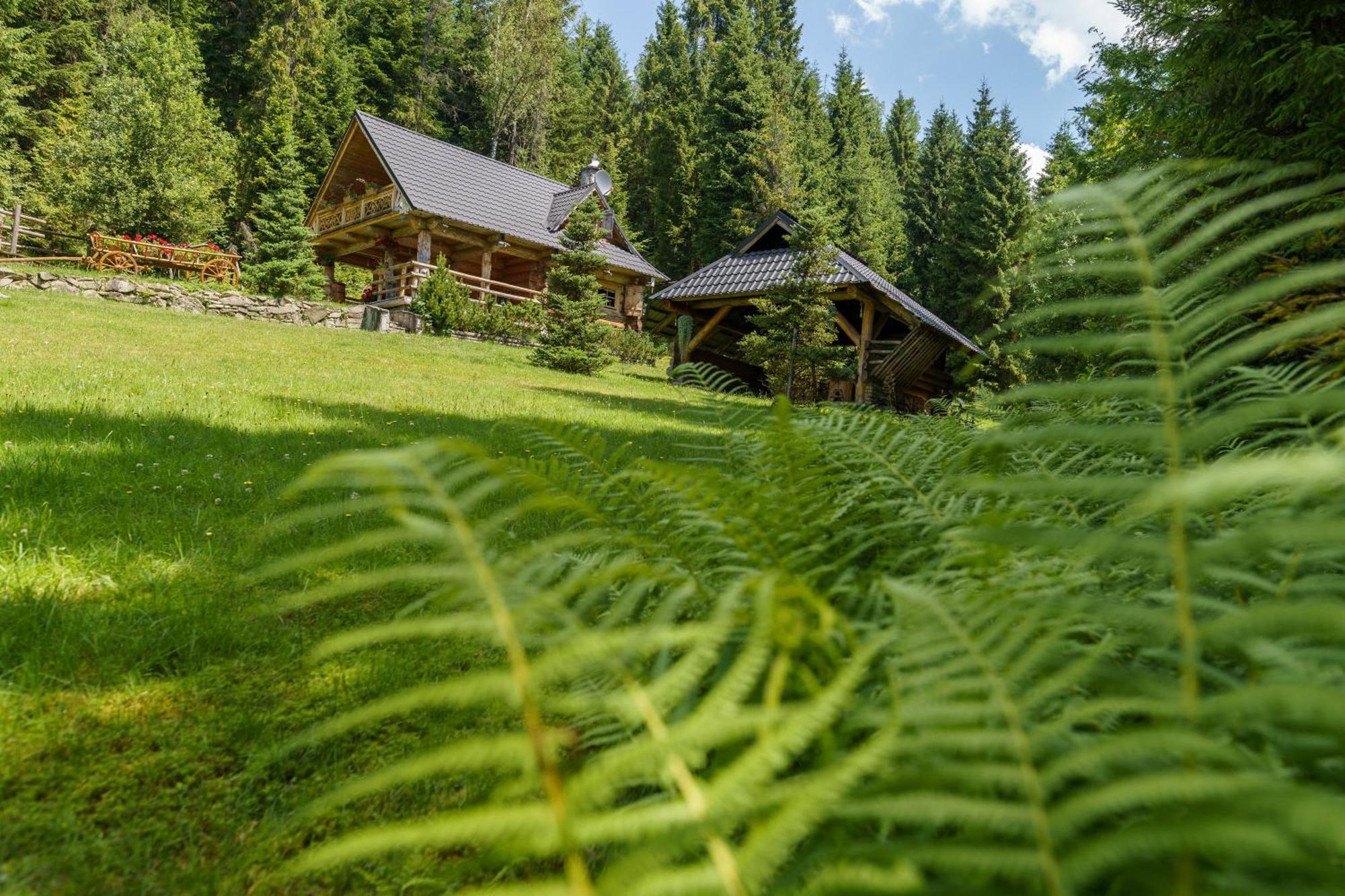 Lesna Bacowka Villa Nowy Targ Exterior photo