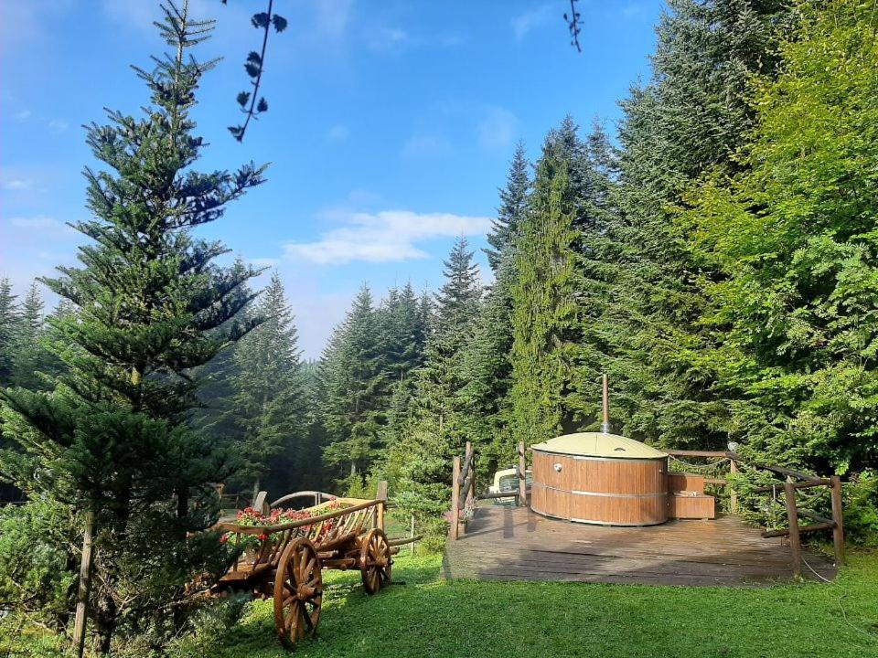 Lesna Bacowka Villa Nowy Targ Exterior photo