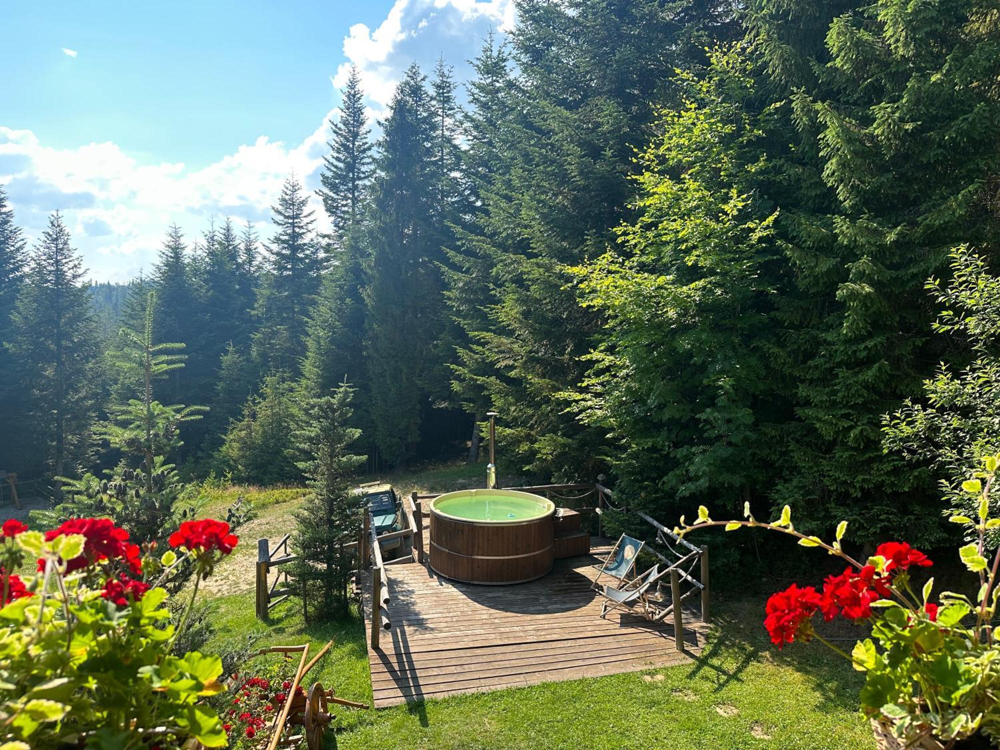 Lesna Bacowka Villa Nowy Targ Exterior photo