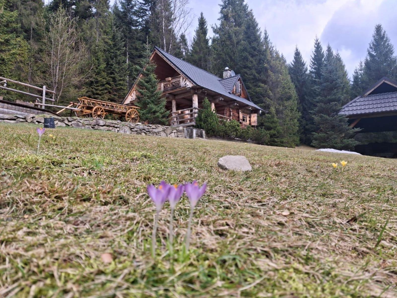 Lesna Bacowka Villa Nowy Targ Exterior photo
